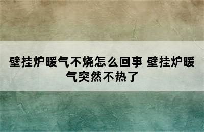 壁挂炉暖气不烧怎么回事 壁挂炉暖气突然不热了